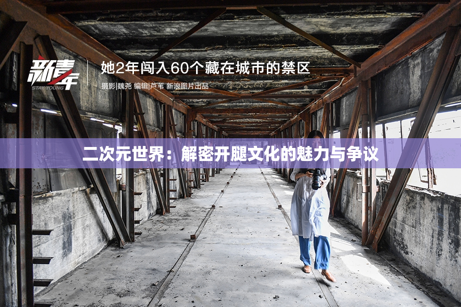 二次元世界：解密开腿文化的魅力与争议