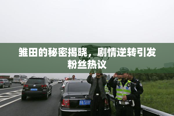雏田的秘密揭晓，剧情逆转引发粉丝热议