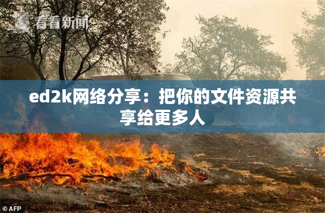ed2k网络分享：把你的文件资源共享给更多人