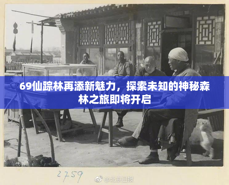 69仙踪林再添新魅力，探索未知的神秘森林之旅即将开启