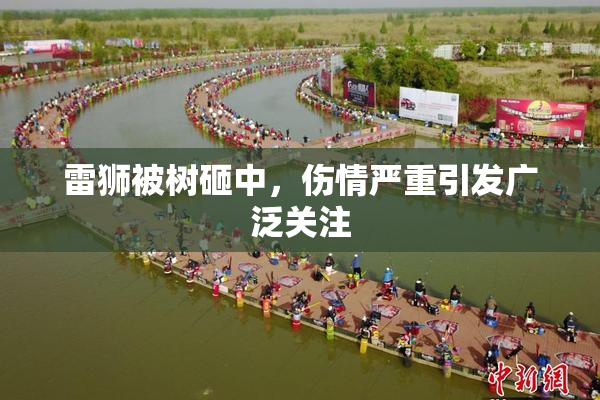 雷狮被树砸中，伤情严重引发广泛关注