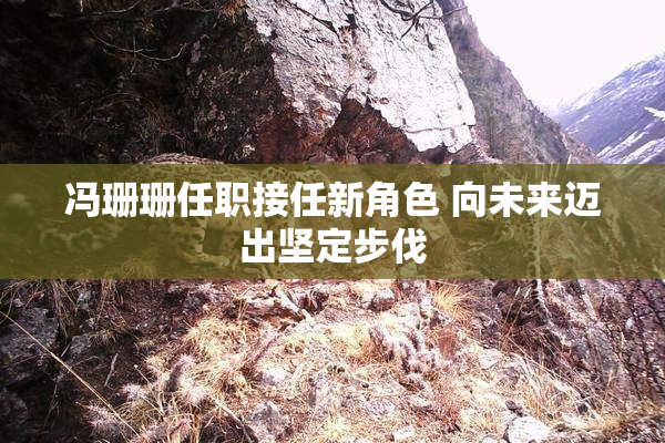 冯珊珊任职接任新角色 向未来迈出坚定步伐