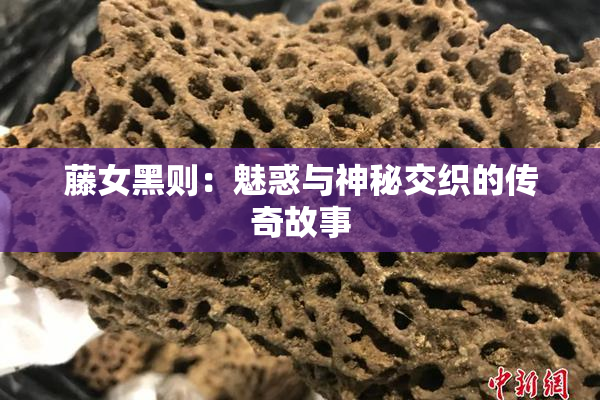 藤女黑则：魅惑与神秘交织的传奇故事