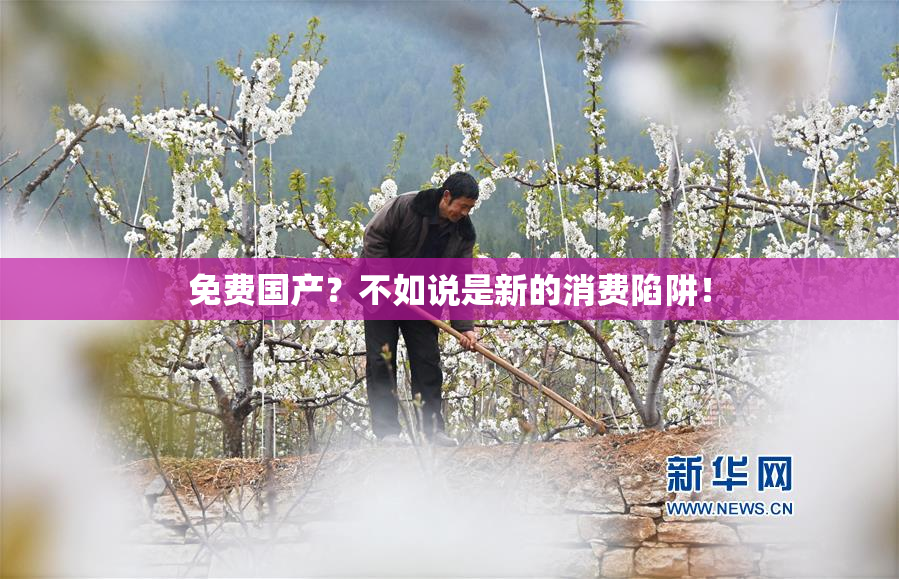 免费国产？不如说是新的消费陷阱！