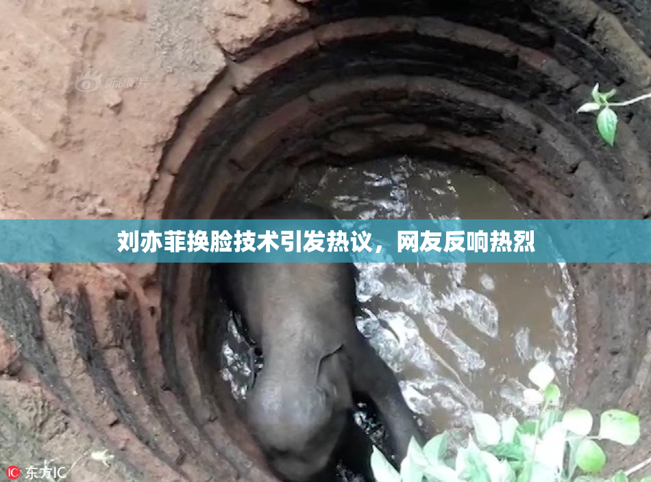 刘亦菲换脸技术引发热议，网友反响热烈