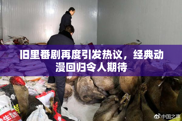 旧里番剧再度引发热议，经典动漫回归令人期待