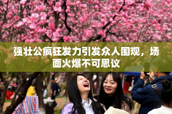强壮公疯狂发力引发众人围观，场面火爆不可思议