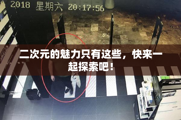 二次元的魅力只有这些，快来一起探索吧！