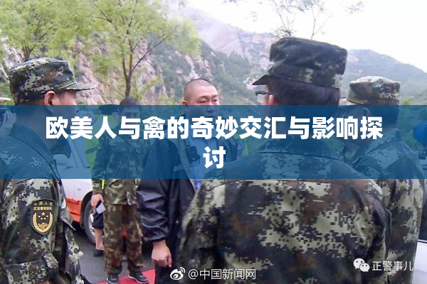 欧美人与禽的奇妙交汇与影响探讨