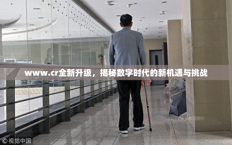 www.cr全新升级，揭秘数字时代的新机遇与挑战