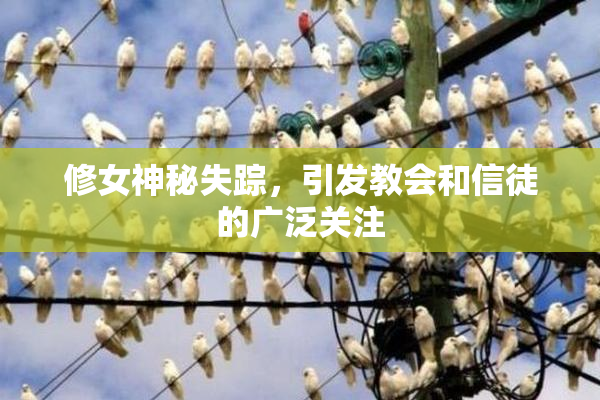修女神秘失踪，引发教会和信徒的广泛关注