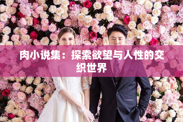 肉小说集：探索欲望与人性的交织世界