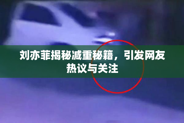 刘亦菲揭秘减重秘籍，引发网友热议与关注