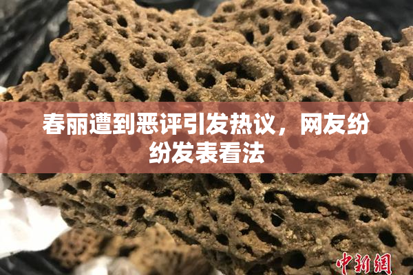 春丽遭到恶评引发热议，网友纷纷发表看法