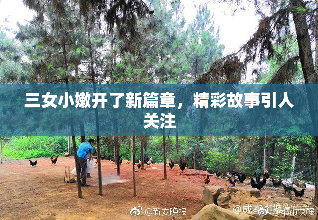 三女小嫩开了新篇章，精彩故事引人关注