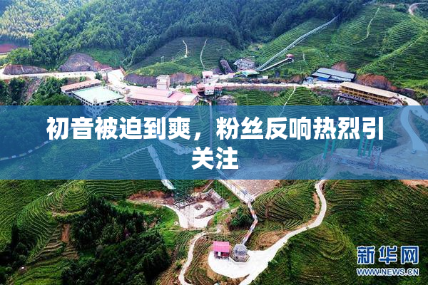初音被迫到爽，粉丝反响热烈引关注