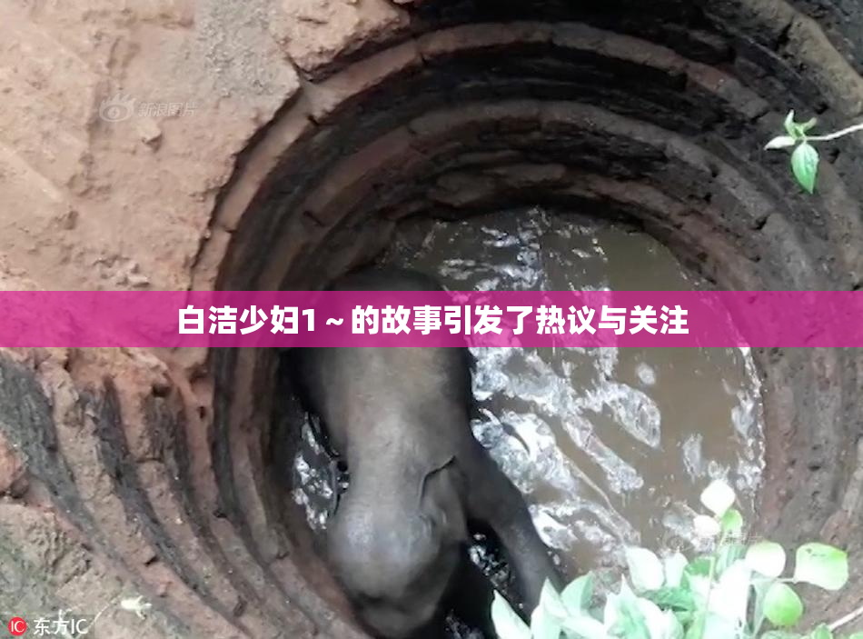 白洁少妇1～的故事引发了热议与关注