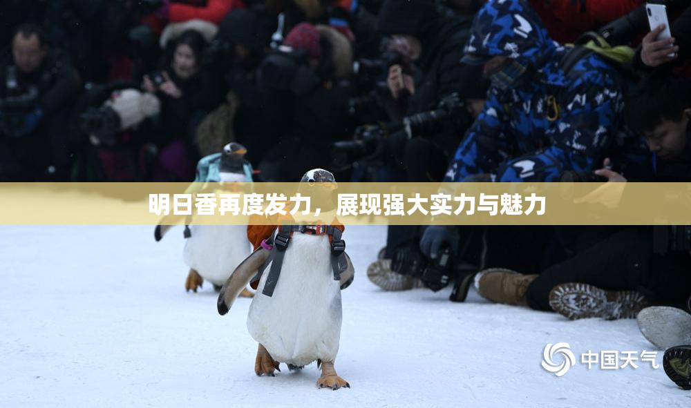 明日香再度发力，展现强大实力与魅力
