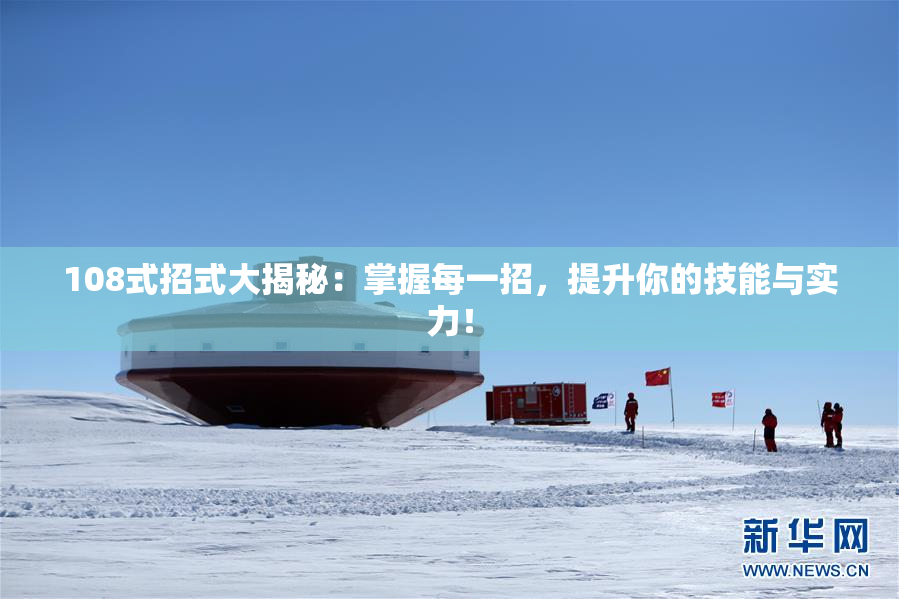 108式招式大揭秘：掌握每一招，提升你的技能与实力！