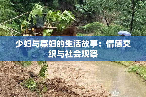 少妇与寡妇的生活故事：情感交织与社会观察