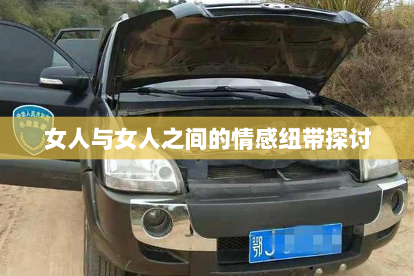 女人与女人之间的情感纽带探讨