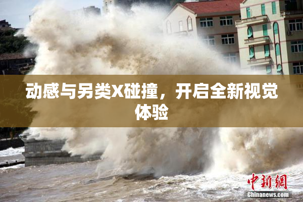 动感与另类X碰撞，开启全新视觉体验