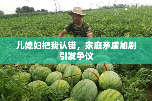 儿媳妇把我认错，家庭矛盾加剧引发争议