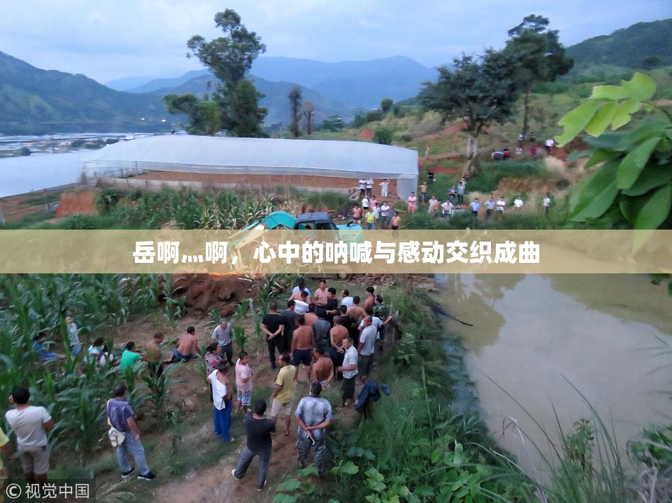 岳啊灬啊，心中的呐喊与感动交织成曲