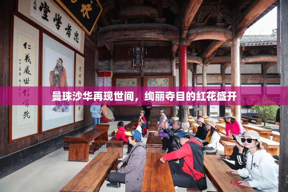 曼珠沙华再现世间，绚丽夺目的红花盛开