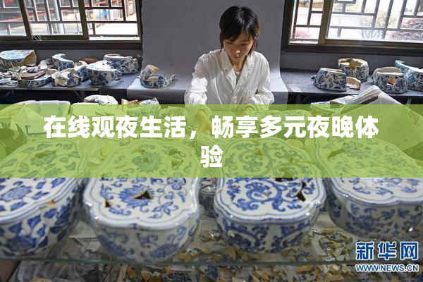 在线观夜生活，畅享多元夜晚体验