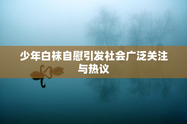 少年白袜自慰引发社会广泛关注与热议
