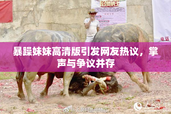 暴躁妹妹高清版引发网友热议，掌声与争议并存