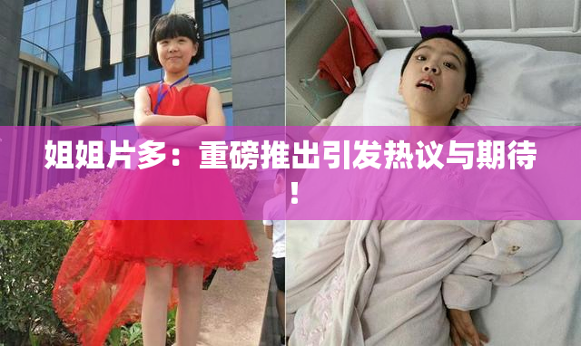 姐姐片多：重磅推出引发热议与期待！