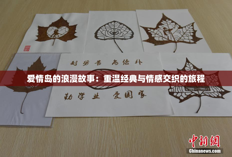 爱情岛的浪漫故事：重温经典与情感交织的旅程