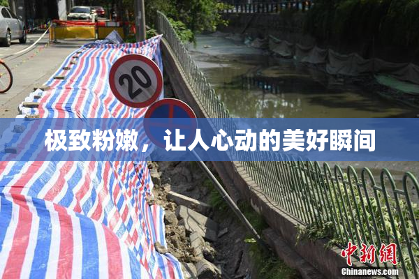 极致粉嫩，让人心动的美好瞬间