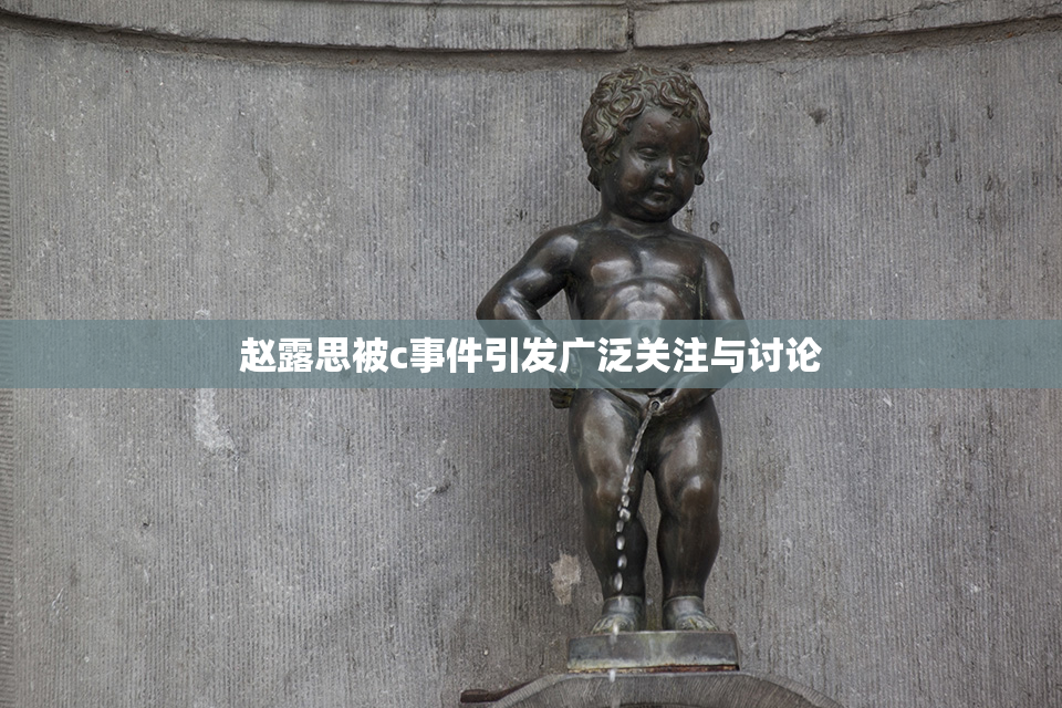 赵露思被c事件引发广泛关注与讨论