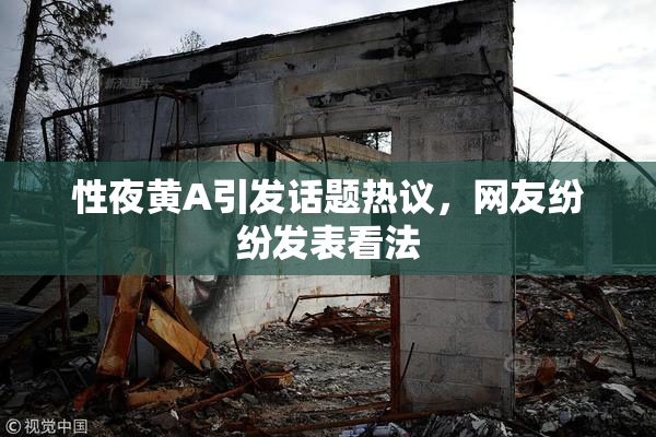 性夜黄A引发话题热议，网友纷纷发表看法