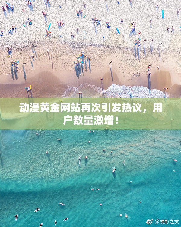 动漫黄金网站再次引发热议，用户数量激增！