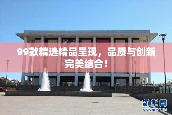 99款精选精品呈现，品质与创新完美结合！