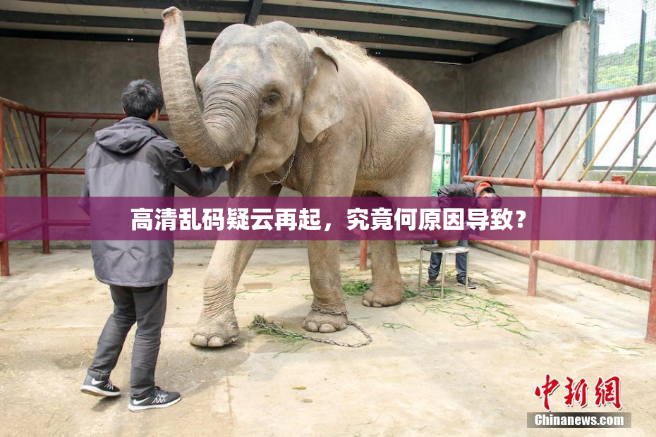 高清乱码疑云再起，究竟何原因导致？