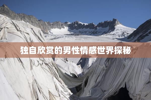 独自欣赏的男性情感世界探秘