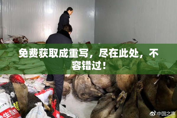 免费获取成重写，尽在此处，不容错过！