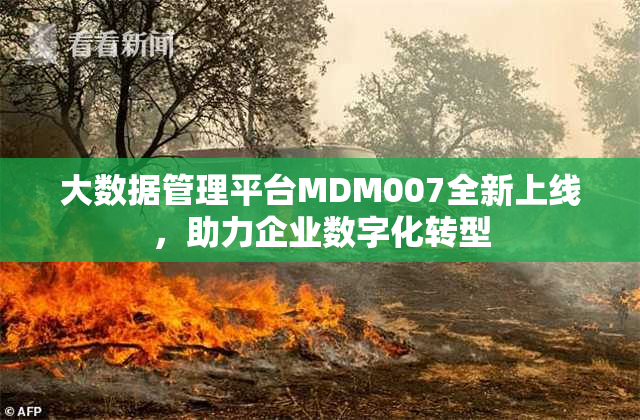 大数据管理平台MDM007全新上线，助力企业数字化转型