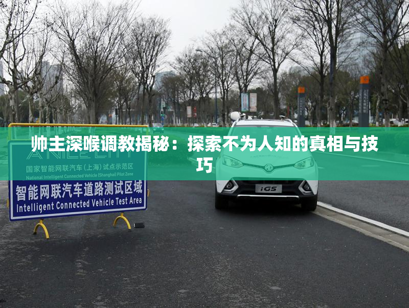 帅主深喉调教揭秘：探索不为人知的真相与技巧