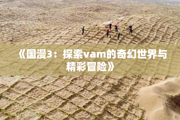 《国漫3：探索vam的奇幻世界与精彩冒险》