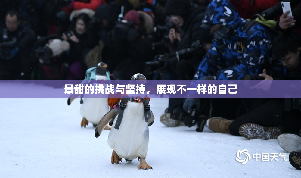 景甜的挑战与坚持，展现不一样的自己