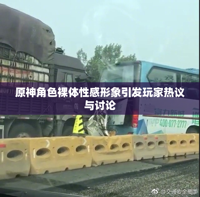 原神角色裸体性感形象引发玩家热议与讨论