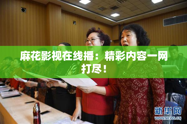 麻花影视在线播：精彩内容一网打尽！