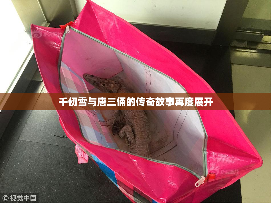 千仞雪与唐三俑的传奇故事再度展开