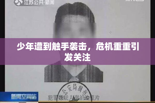 少年遭到触手袭击，危机重重引发关注